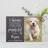 パピー足のピッタパタニューペットパピー犬 案内状 (スタンド正面)