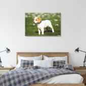 パピー3 キャンバスプリント (インサイチュ (寝室))