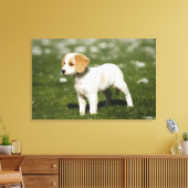 パピー3 キャンバスプリント (インサイチュ (リビング))