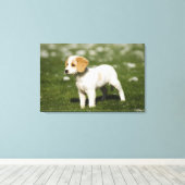 パピー3 キャンバスプリント (インサイチュ (ウッドフロア))