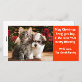 パピー&キッテンホリデーカード シーズンカード (正面/裏面)