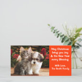 パピー&キッテンホリデーカード シーズンカード (スタンド正面)