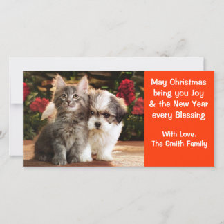 パピー&キッテンホリデーカード シーズンカード