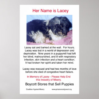 パピー・ミルズが悲惨なポスターを作り出す ポスター