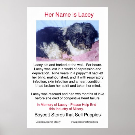 パピー・ミルズが悲惨なポスターを作り出す ポスター (正面)