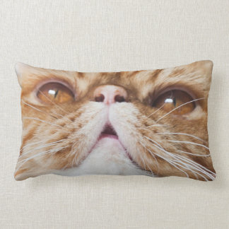 パフの枕 ランバークッション