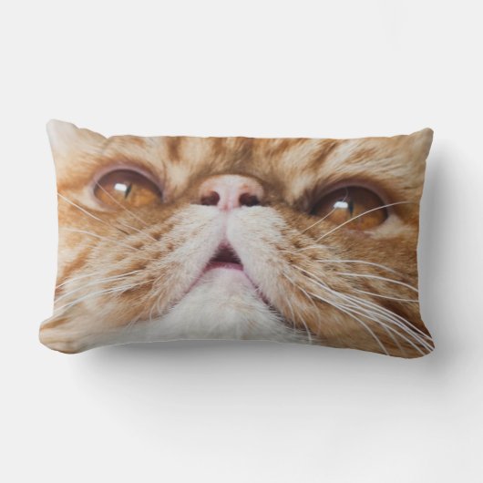 パフの枕 ランバークッション (正面)