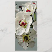 パフィオペディラムの花が交じり合う メニュー (裏面)