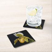 パフィオペディルムExul スクエアペーパーコースター (インサイチュ)