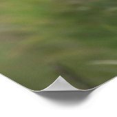 パフィンのポスター ポスター (角)