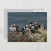 パフィン条約 ポストカード (正面/裏面)