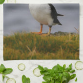 パフィン茶タオル キッチンタオル (折り畳み)