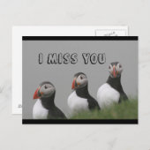 パフィン葉書 ポストカード (正面/裏面)