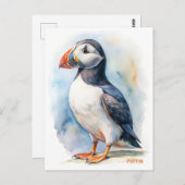 パフィン鳥の水彩絵絵を描葉書 ポストカード (正面/裏面)