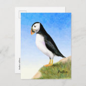 パフィン鳥の水色絵画のはがき ポストカード (正面/裏面)