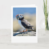 パフィン カード (正面)