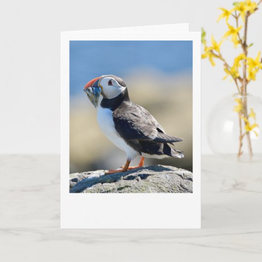 パフィン カード (黄色い花)