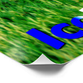 パフィン ポスター (コーナー)