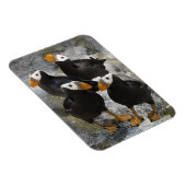 パフィン… マグネット (右側)