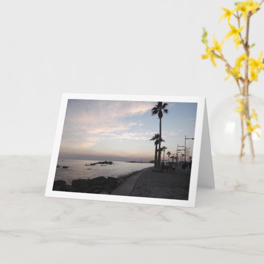 パフォスを夜に、キプロスの風景 カード (黄色い花)