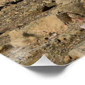 パフォス考古学公園、遺跡と灯台 ポスター (コーナー)