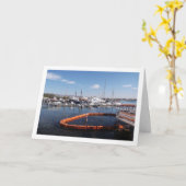 パフォス、キプロスのボートハーバー カード (黄色い花)