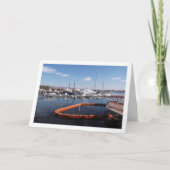 パフォス、キプロスのボートハーバー カード (正面)