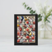 パフォス・キプロスの土産の貝 ポストカード (スタンド正面)