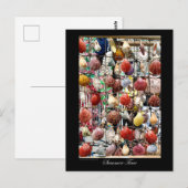 パフォス・キプロスの土産の貝 ポストカード (正面/裏面)