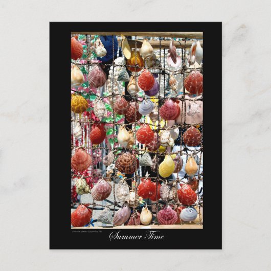 パフォス・キプロスの土産の貝 ポストカード (正面)