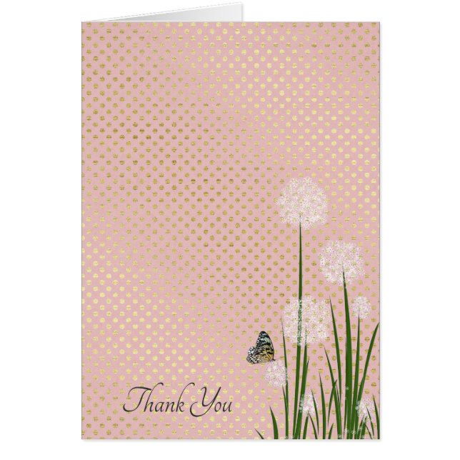 パフ感謝していの花の上の蝶 (正面)