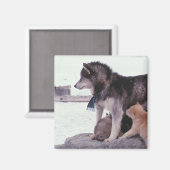 パブが散りばめられたハスキー マグネット (正面/裏面)