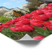 パブリックガーデン春 ポスター (角)