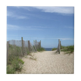 パブリック・アクセス32のWrightsvilleのビーチのタイル タイル