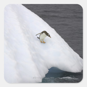 パプアのGentoo penguin Pygoscelis)立ち スクエアシール
