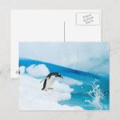 パプアニアのgentoo penguin、Pygoscelis、飛び降りる ポストカード (正面/裏面)