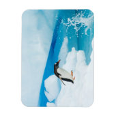 パプアニアのgentoo penguin、Pygoscelis、飛び降りる マグネット (縦)