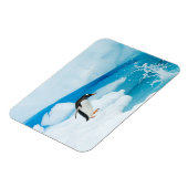 パプアニアのgentoo penguin、Pygoscelis、飛び降りる マグネット (左側)