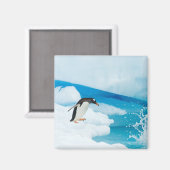 パプアニアのgentoo penguin、Pygoscelis、飛び降りる マグネット (正面/裏面)