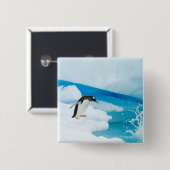 パプアニアのgentoo penguin、Pygoscelis、飛び降りる 缶バッジ (正面&裏面)