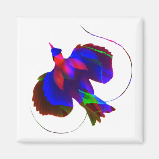 パプアニューギニア磁石の楽園鳥 マグネット