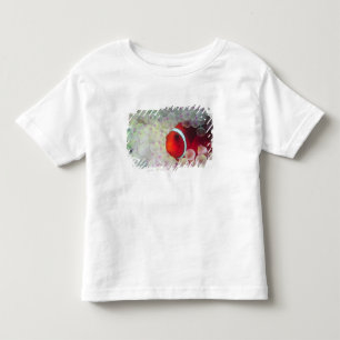 パプアニューギニア グレートバリアリーフ, トドラーTシャツ