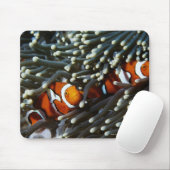 パプアニューギニア、偽ピエロ2名 マウスパッド (マウス)