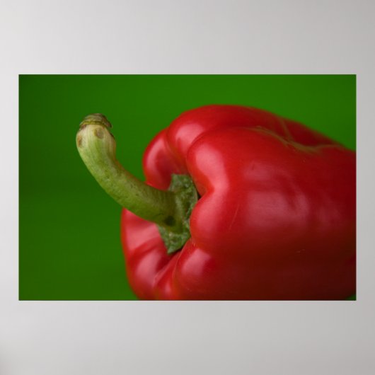 パプリカ ポスター (正面)