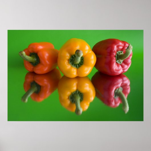 パプリカ ポスター (正面)