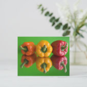 パプリカ ポストカード (スタンド正面)