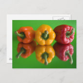 パプリカ ポストカード (正面/裏面)