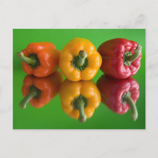 パプリカ ポストカード (正面)
