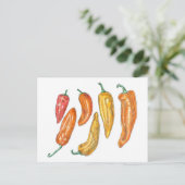 パプリカ ポストカード (スタンド正面)