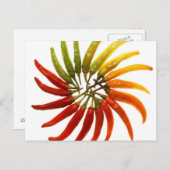 パプリカ ポストカード (正面/裏面)